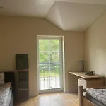 Villa Melnrage Cozy & Terrace - Pine View Sea Entry *