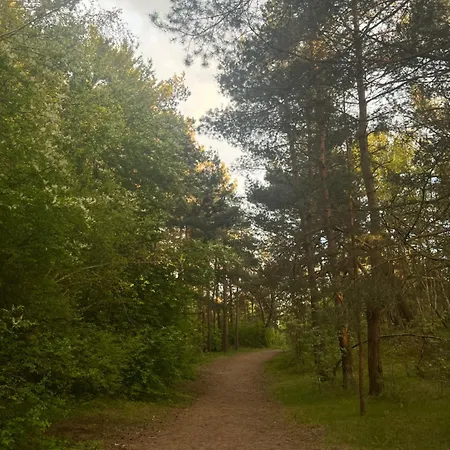 Melnrage Cozy & Terrace - Pine View Sea Entry * Klaipėda