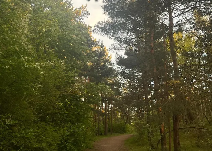 Melnrage Cozy & Terrace - Pine View Sea Entry * Klaipeda